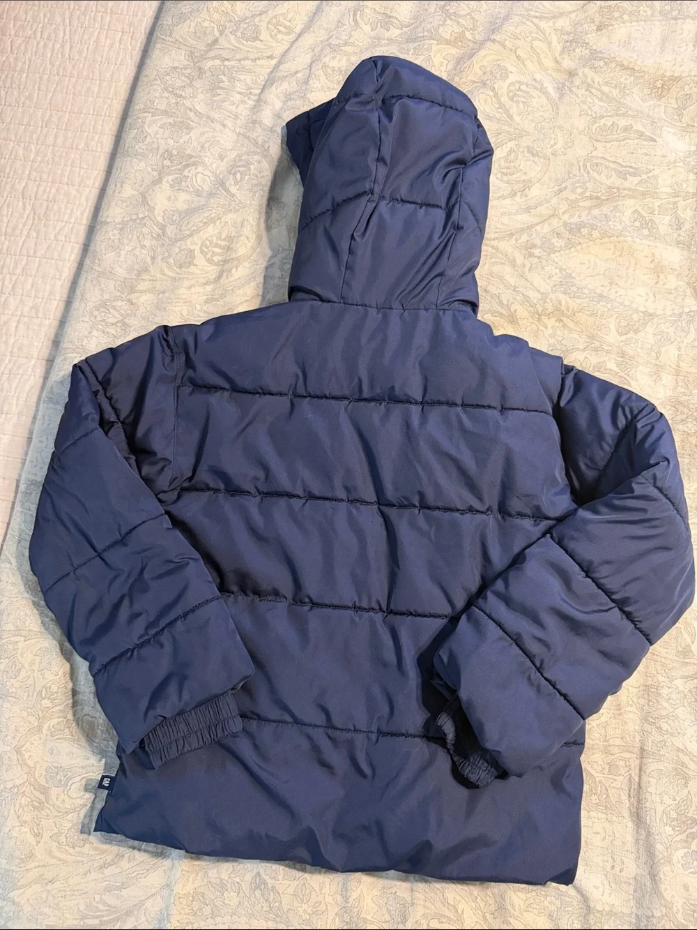 GAP Navy Hooded Puffer Jacket with Light Lavender Zip
